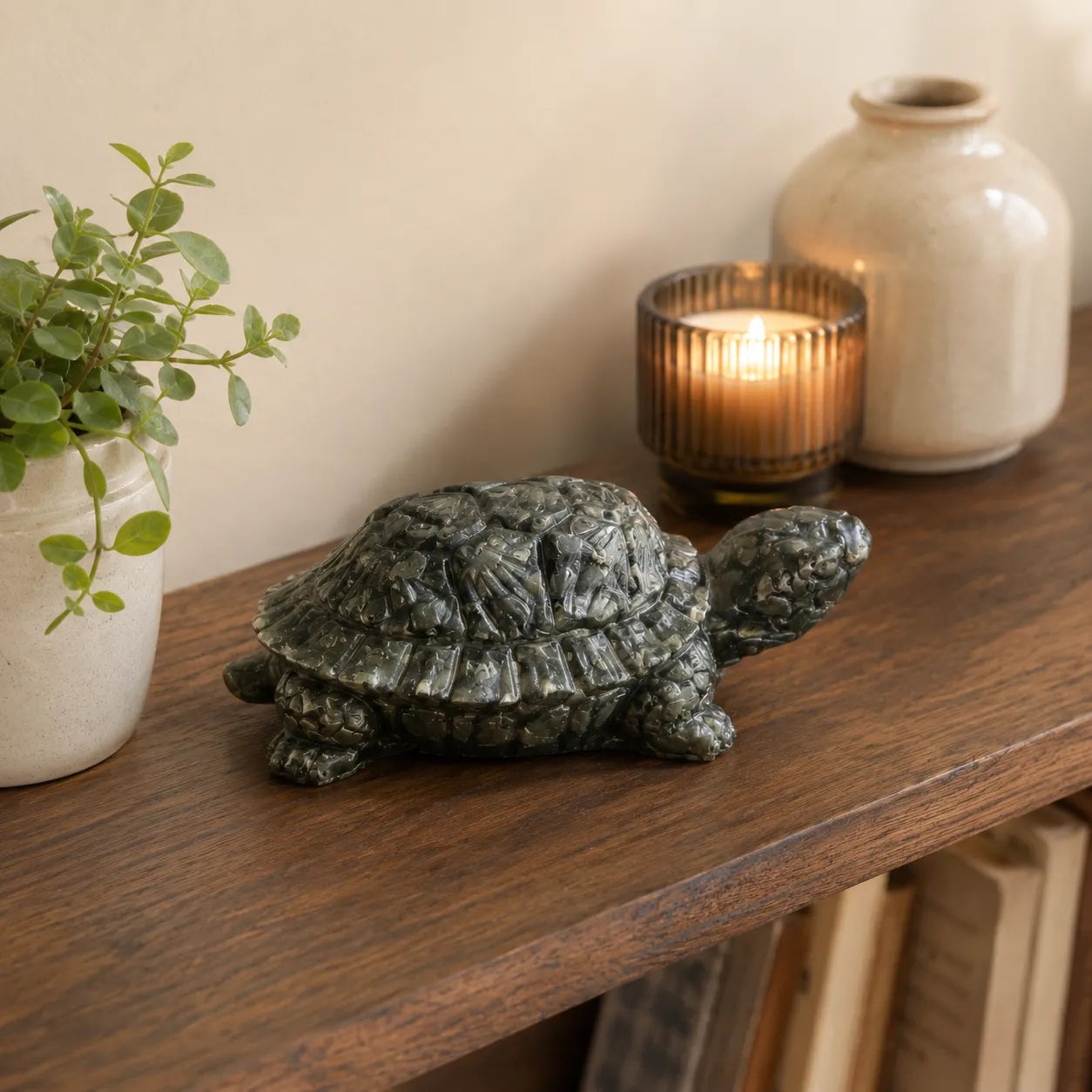 Complete Black Stone Tortoise Vastu Showpiece