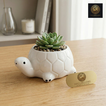 Ceramic Turtle Planter
