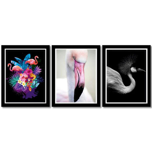 Set of 3 Framed Bird Wall Art