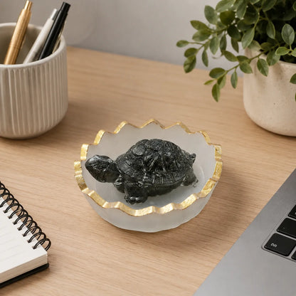 Complete Black Stone Tortoise Vastu Set with Selenite Tray