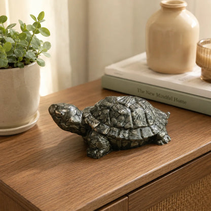 Closeup of detailed carving on Black Stone Tortoise Vastu item
